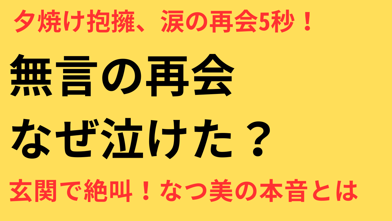 涙の最終回！波うららかに、めおと日和の感動名シーン徹底解説