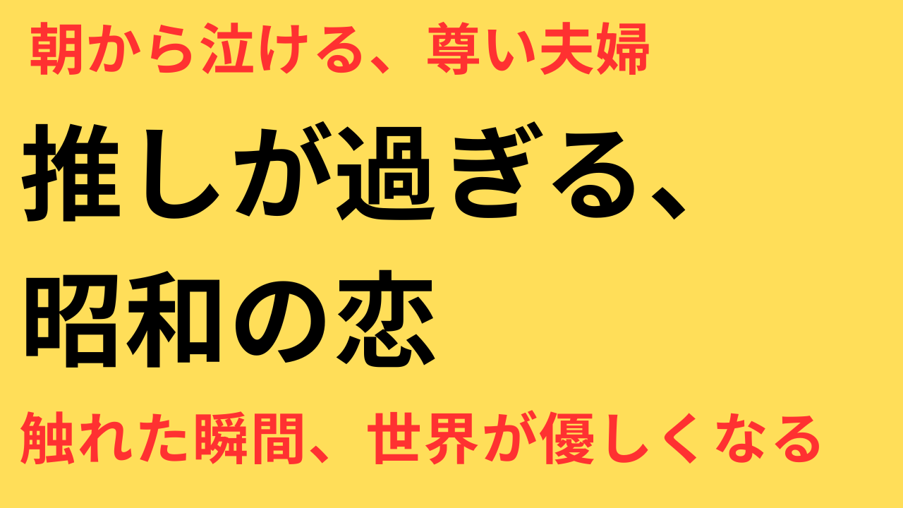『波うららかに、めおと日和』が「尊い」と言われる理由とは？芳根京子×本田響矢の“丁寧な対人関係”が胸を打つ5つの理由