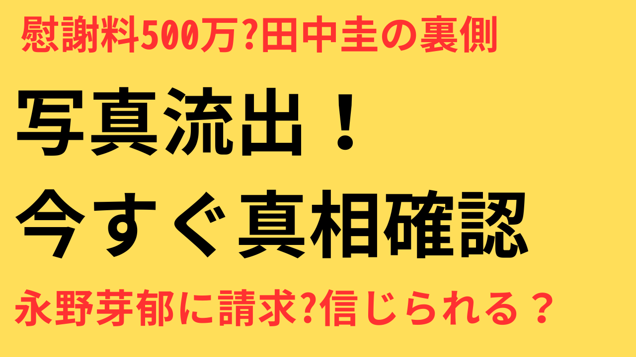 田中圭の不倫報道と慰謝料問題を徹底解説！妻の怒りと永野芽郁の行方