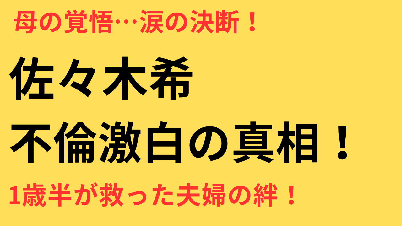 佐々木希 多目的トイレ 不倫