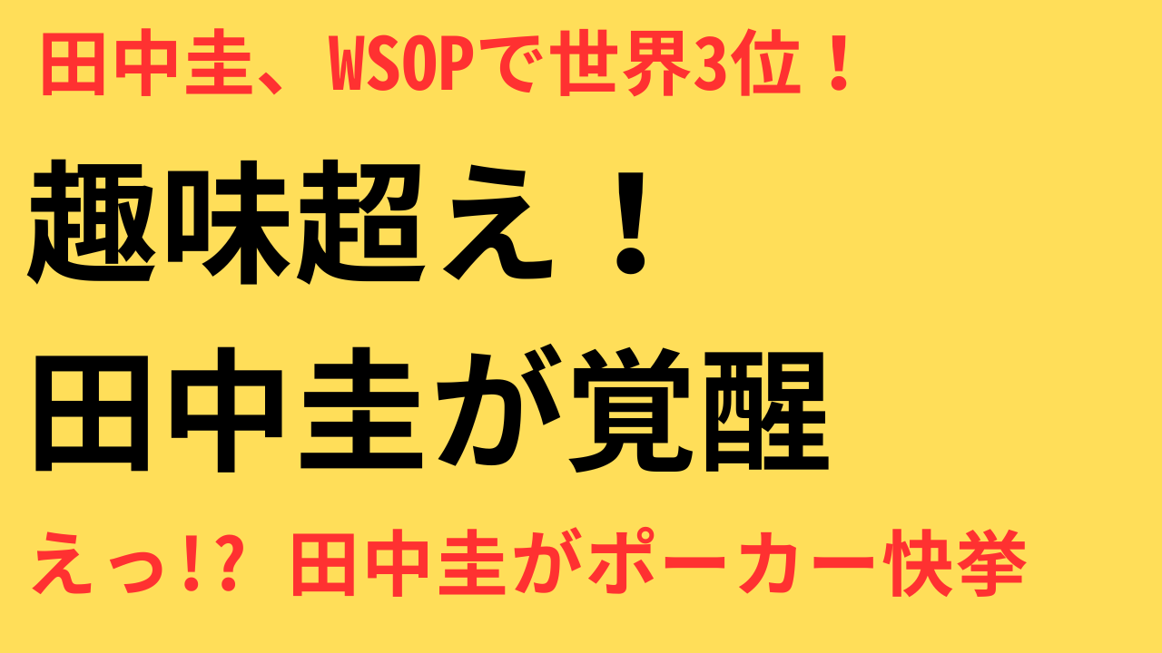 田中圭 ポーカー世界大会