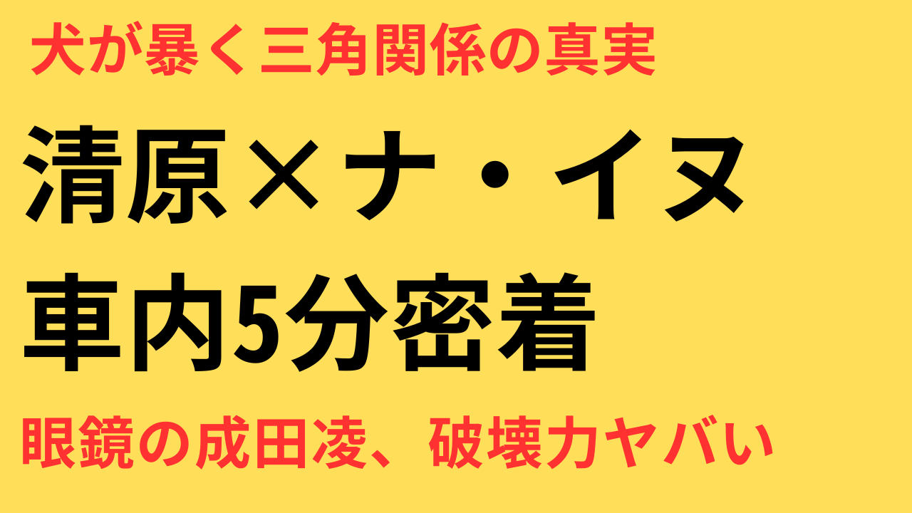 「初恋DOGs第2話」清原果耶×ナ・イヌの急接近と成田凌の眼鏡姿が話題に！