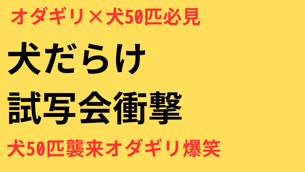 オダギリジョー、映画試写会で異例のワンちゃん50匹招待！「飽きたら出ていっても大丈夫」と笑顔